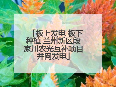板上发电 板下种植 兰州新区段家川农光互补项目并网发电