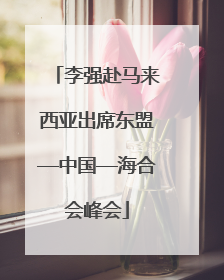 李强赴马来西亚出席东盟—中国—海合会峰会