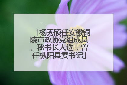 杨秀颀任安徽铜陵市政协党组成员、秘书长人选，曾任枞阳县委书记