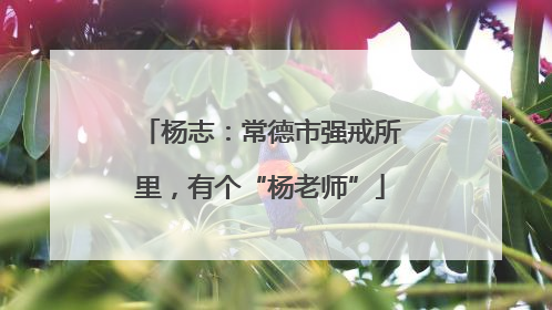 杨志：常德市强戒所里，有个“杨老师”