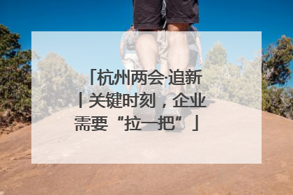 杭州两会·追新丨关键时刻，企业需要“拉一把”