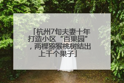 杭州7旬夫妻十年打造小区“百果园”，两棵猕猴桃树结出上千个果子