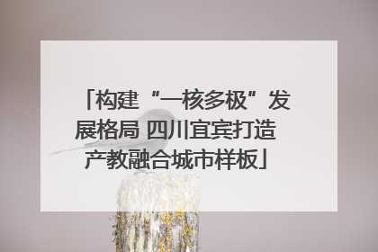 构建“一核多极”发展格局 四川宜宾打造产教融合城市样板