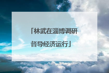 林武在淄博调研督导经济运行