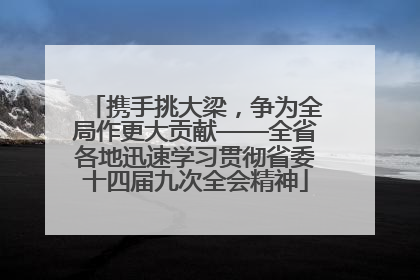 携手挑大梁，争为全局作更大贡献——全省各地迅速学习贯彻省委十四届九次全会精神