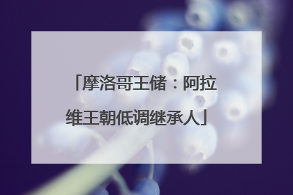 摩洛哥王储：阿拉维王朝低调继承人