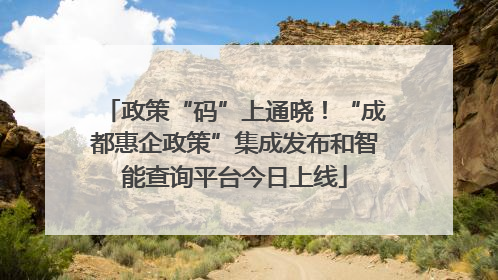 政策“码”上通晓！“成都惠企政策”集成发布和智能查询平台今日上线