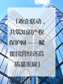 政企联动，共筑知识产权保护网——赋能民营经济高质量发展