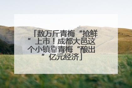 数万斤青梅“抢鲜”上市！成都大邑这个小镇靠青梅“酿出”亿元经济