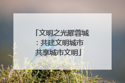 文明之光耀蓉城：共建文明城市 共享城市文明