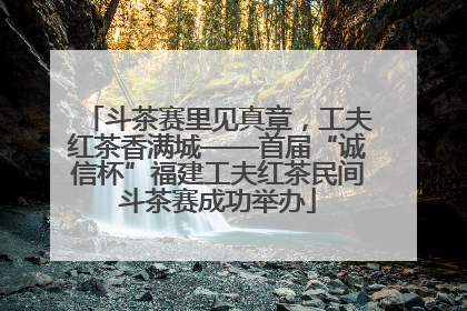 斗茶赛里见真章，工夫红茶香满城——首届“诚信杯”福建工夫红茶民间斗茶赛成功举办