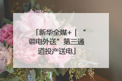 新华全媒+｜“疆电外送”第三通道投产送电
