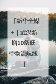 新华全媒+｜武汉新增10条低空物流航线