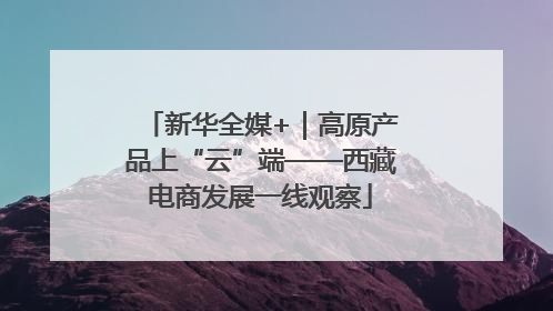 新华全媒+｜高原产品上“云”端——西藏电商发展一线观察
