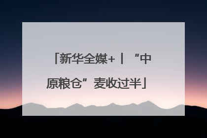 新华全媒+丨“中原粮仓”麦收过半