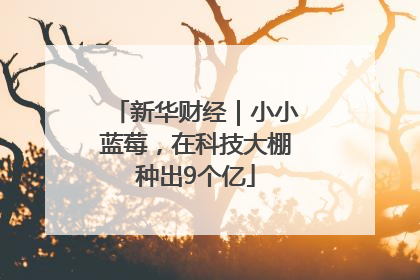 新华财经｜小小蓝莓，在科技大棚种出9个亿