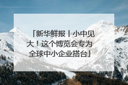 新华鲜报丨小中见大！这个博览会专为全球中小企业搭台