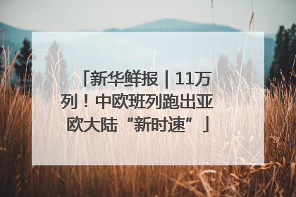 新华鲜报｜11万列！中欧班列跑出亚欧大陆“新时速”