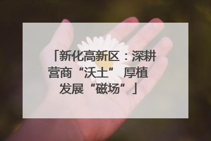 新化高新区：深耕营商“沃土” 厚植发展“磁场”