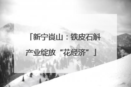 新宁崀山：铁皮石斛产业绽放“花经济”