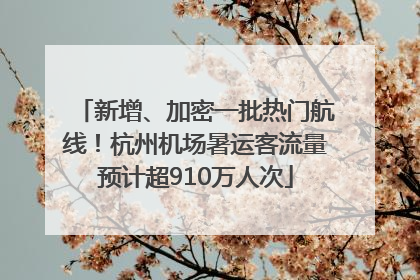新增、加密一批热门航线！杭州机场暑运客流量预计超910万人次