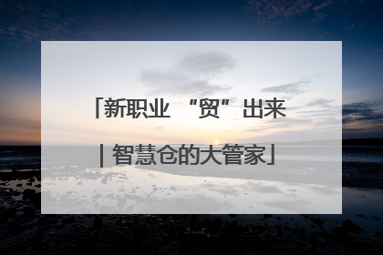 新职业 “贸”出来｜智慧仓的大管家