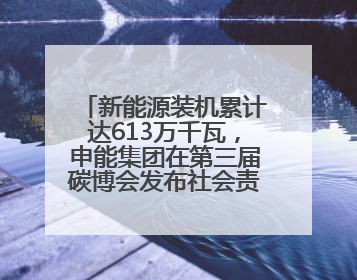 新能源装机累计达613万千瓦，申能集团在第三届碳博会发布社会责任报告