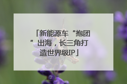 新能源车“抱团”出海，长三角打造世界级IP