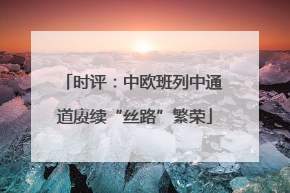 时评：中欧班列中通道赓续“丝路”繁荣