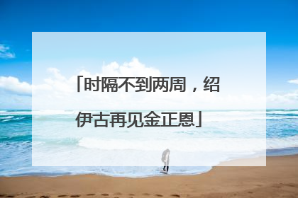 时隔不到两周，绍伊古再见金正恩