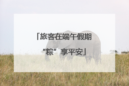 旅客在端午假期“粽”享平安