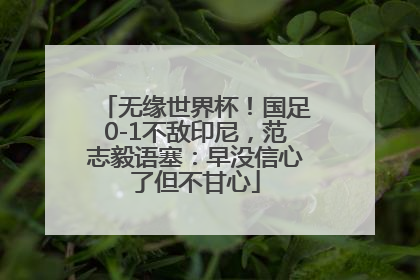 无缘世界杯！国足0-1不敌印尼，范志毅语塞：早没信心了但不甘心