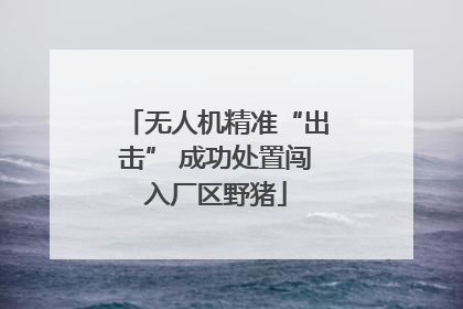 无人机精准“出击” 成功处置闯入厂区野猪