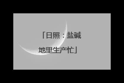 日照：盐碱地里生产忙
