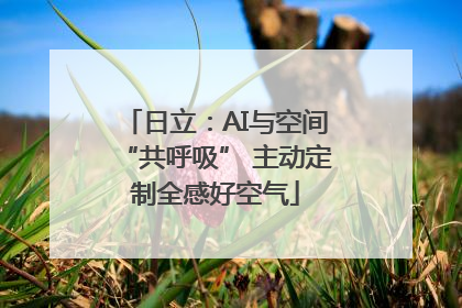 日立：AI与空间“共呼吸” 主动定制全感好空气