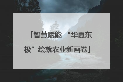 智慧赋能 “华夏东极”绘就农业新画卷