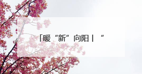 暖“新”向阳丨“三新”领域夏令营亲子活动火热开展