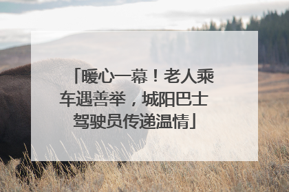暖心一幕！老人乘车遇善举，城阳巴士驾驶员传递温情