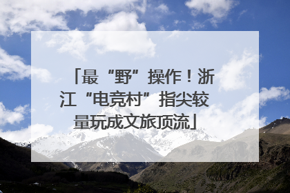 最“野”操作！浙江“电竞村”指尖较量玩成文旅顶流