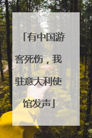 有中国游客死伤，我驻意大利使馆发声