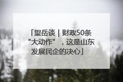 望岳谈｜财政50条“大动作”，这是山东发展民企的决心