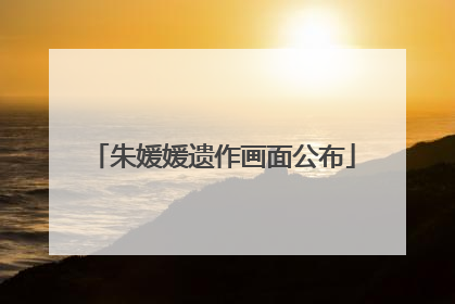 朱媛媛遗作画面公布