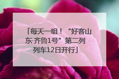 每天一组！“好客山东·齐鲁1号”第二列列车12日开行
