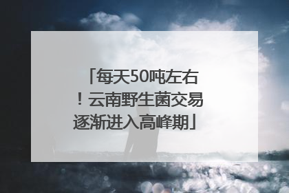 每天50吨左右！云南野生菌交易逐渐进入高峰期