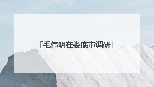 毛伟明在娄底市调研