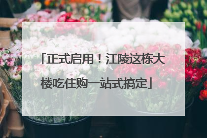 正式启用！江陵这栋大楼吃住购一站式搞定