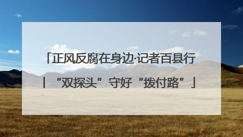 正风反腐在身边·记者百县行丨“双探头”守好“拨付路”