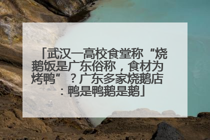 武汉一高校食堂称“烧鹅饭是广东俗称，食材为烤鸭”？广东多家烧鹅店：鸭是鸭鹅是鹅