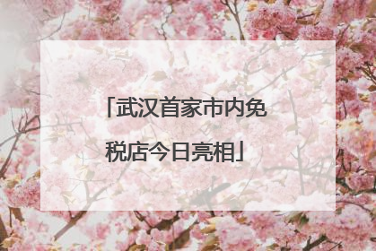 武汉首家市内免税店今日亮相