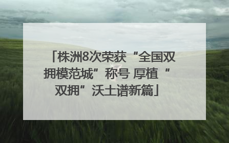 株洲8次荣获“全国双拥模范城”称号 厚植“双拥”沃土谱新篇